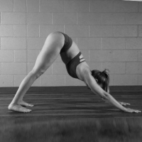 Stretch        